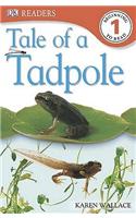 Tale of a Tadpole: (DK Readers Level 1)