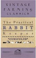 The Practical Rabbit Keeper: (English)