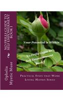 No-Frills Guide to Self Empowerment Book I: Practical Steps that Work Living Matrix Series