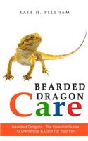 Bearded Dragons