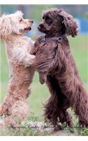 American Cocker Spaniel April Notebook American Cocker Spaniel Record, Log, Diary, Special Memories, to Do List, Academic Notepad, Scrapbook & More