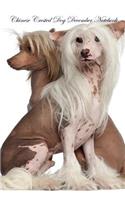 Chinese Crested Dog December Notebook Chinese Crested Dog Record, Log, Diary, Special Memories, to Do List, Academic Notepad, Scrapbook & More
