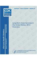 Long-Term Care Providers and Services Users in the United States