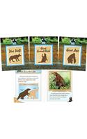 Prehistoric Animals Set 1