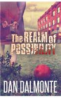 Realm of Possibility