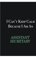 I cant Keep Calm because I am an Assistant Secretary: Writing careers journals and notebook. A way towards enhancement