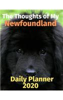 The Thoughts of My Newfoundland: Daily Planner 2020