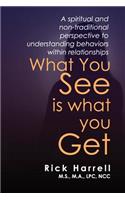 What You See Is What You Get: A Spiritual and Non-Traditional Perspective to Understanding Behaviors Within Relationships