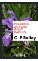 Practical Angora Goat Raising