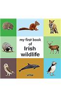 My First Book of Irish Wildlife: (First Steps)