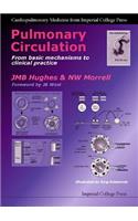 Pulmonary Circulation: From Basic Mechanisms to Clinical Practice