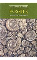 Discover Dorset Fossils