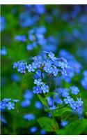 Stunning Field of Forget Me Not Flowers Journal: Take Notes, Write Down Memories in this 150 Page Lined Journal