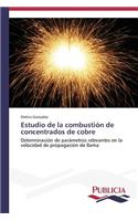 Estudio de la combustión de concentrados de cobre