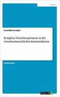Komplexe Verstehensprozesse in der zwischenmenschlichen Kommunikation