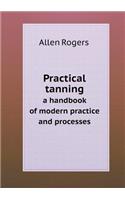 Practical tanning a handbook of modern practice and processes