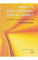 What is Professional Social Worker