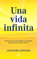 Vida Infinita. El Revelador Viaje del Alma Tras La Muerte / An Infinite Life: Discover in Depth the Revealing Journey of the Soul After Death