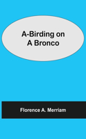 A-Birding on a Bronco