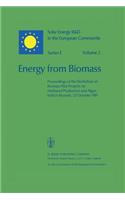 Energy from Biomass