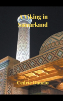 Viking in Samarkand