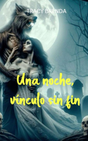Una noche, vínculo sin fin