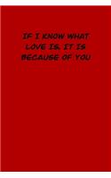If I Know What Love Is, It Is Because of You: 6x9 Lined and Blank paged notebook &#65533; 126 Pages, Red, Gift Funny Valentine's Day Gift Lined Notebook Journal. Romantic lyrics and sayings.