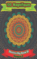 100 Magnifiques Dessins Big Book Of mandala