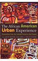 African American Urban Experience