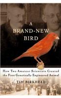 A Brand New Bird