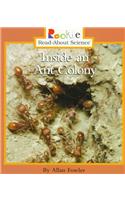 Inside an Ant Colony: (Rookie Read-About Science)