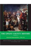The Gwent County History, Volume 4