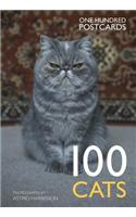 100 Cats in a Box