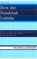 How the Halakhah Unfolds