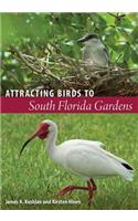 Attracting Birds to South Florida Gardens