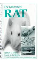 The Laboratory Rat