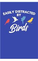 Easily Distracted by Birds