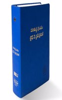 BEST TELUGU STUDY BIBLE