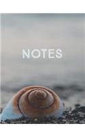 Notes Seashell Dot Grid Journal