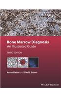 Bone Marrow Diagnosis