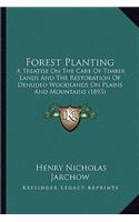 Forest Planting