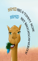 Hamid Has A Tummy Ache- Hamid Hat Bauchschmerzen: Bilingual Children's book English - German - Zweisprachiges Kinderbuch Englisch-Deutsch