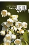 Jasmine