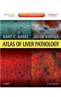 Atlas of Liver Pathology