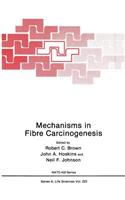 Mechanisms in Fibre Carcinogenesis