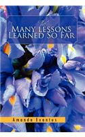 The Many Lessons Learned So Far: (English)