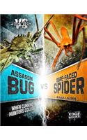 Assassin Bug VS Ogre-Faced Spider: When Cunning Hunters Collide(Bug Wars)