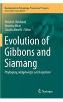 Evolution of Gibbons and Siamang