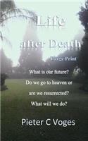 Life after Death