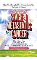 I Survived Stage 4 Metastatic Cancer; You Can Too: How God Brought One Woman Out of the Darkness of Cancer